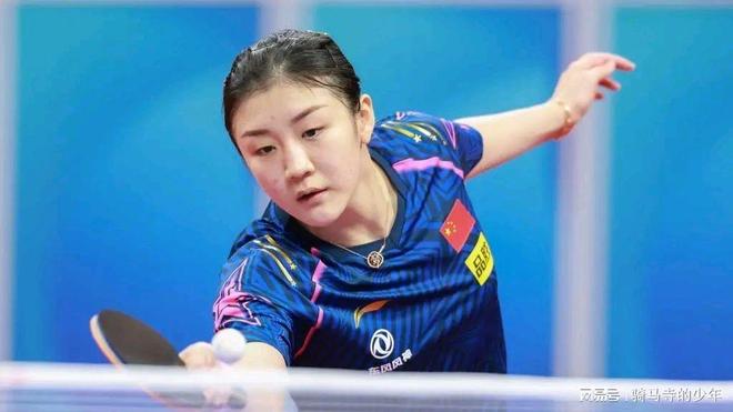 稳态竞争 稳态竞争